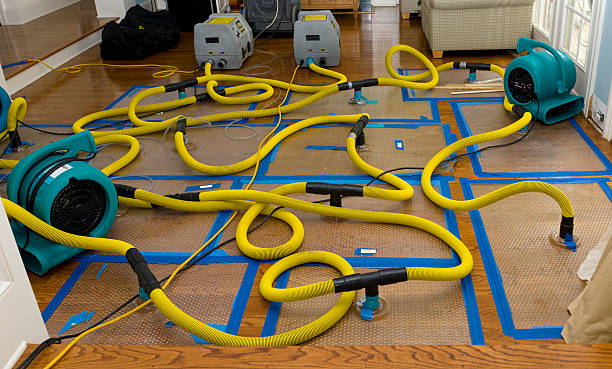 Professional Water Extraction technician working in Fountain, CO